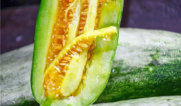 维族网红吃瓜,揭秘网络红人的幕后生活