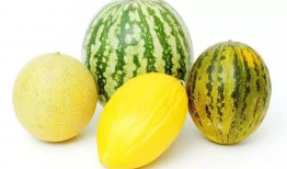 吃瓜网其他功能,一站式娱乐资讯平台，畅享海量精彩内容