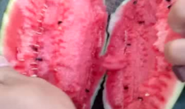 吃瓜大爆炸网,揭秘娱乐圈最新热点，带你领略明星幕后故事