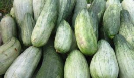 吃瓜网其他功能,一站式娱乐资讯平台，畅享海量精彩内容