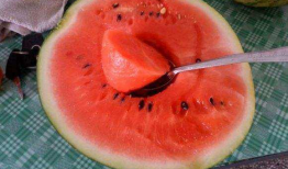 日网吃瓜,娱乐圈最新吃瓜大揭秘！